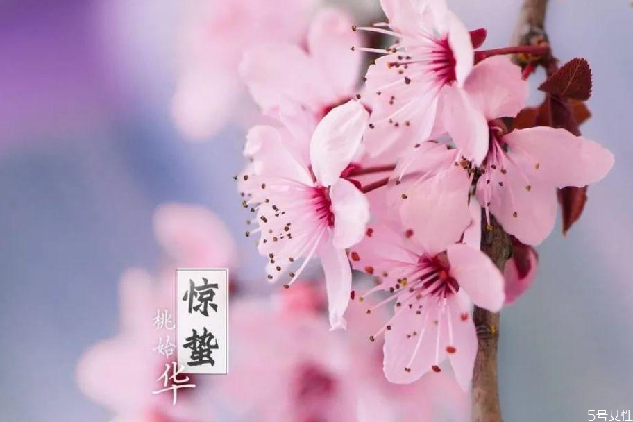 惊蛰吃什么养生(惊蛰吃什么养生)