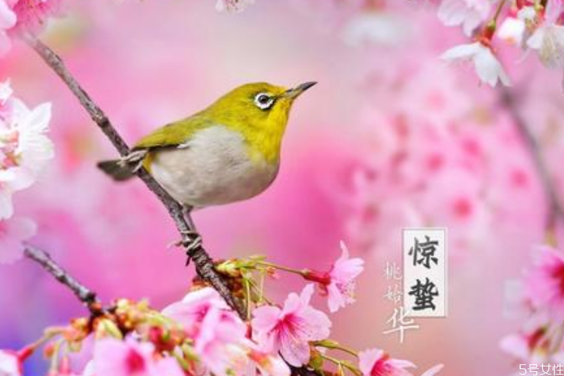 咬唇妆产品推荐(咬唇妆适合什么样的唇)