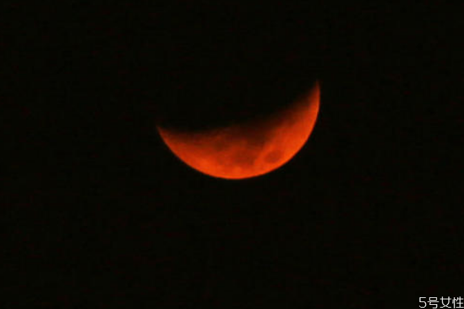 除夕的讲究有哪些(除夕的知识) 除夕的讲究有哪些(除夕的知识)