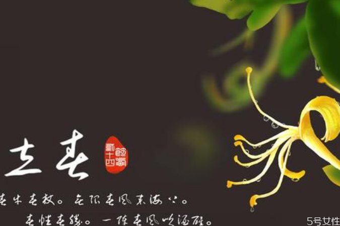 立春躲春是什么意思(2022年立春躲春是什么意思)