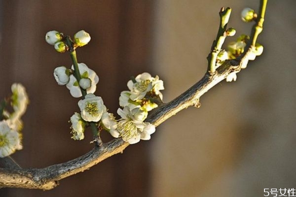 立春躲春是什么意思(2022年立春躲春是什么意思)