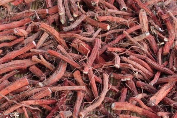 丹参的功效和作用(丹参的功效和作用的功能和主治)