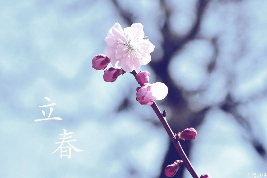 2021年辛丑年的立春时间(2021辛丑年立春日子) 2021年辛丑年的立春时间(2021辛丑年立春日子)