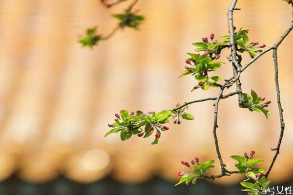 什么是躲春(什么是躲春怎么躲) 什么是躲春(什么是躲春怎么躲)