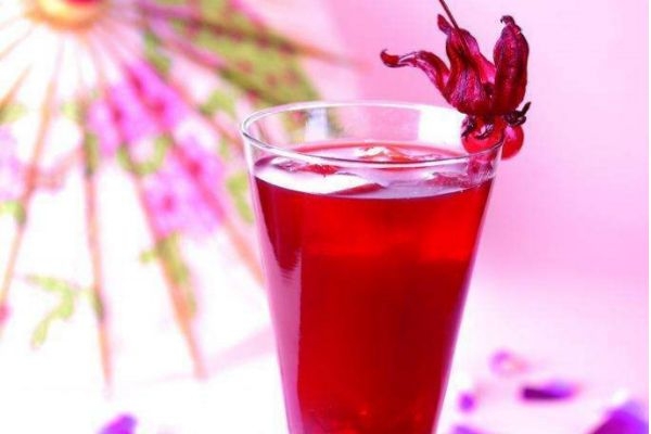 勋章菊的生长环境是怎么样的呢(勋章菊种植方法和时间) 勋章菊的生长环境是怎么样的呢(勋章菊种植方法和时间)