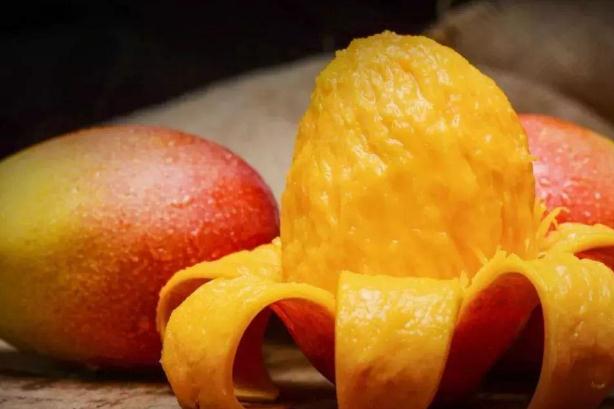 怀孕期间最适合吃什么(怀孕了吃什么)