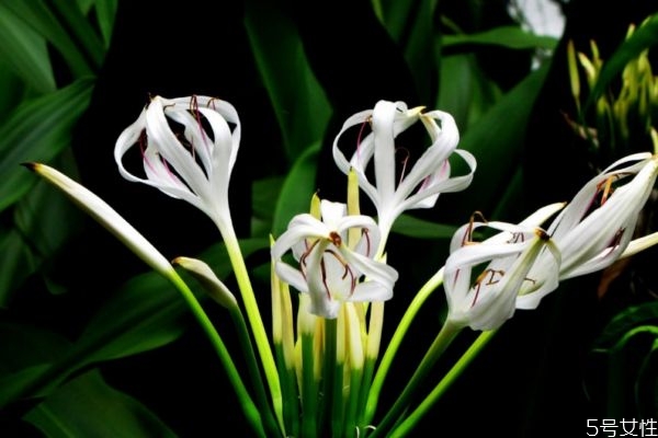 最常见的使用顺序(各种序号的使用顺序) 最常见的使用顺序(各种序号的使用顺序)