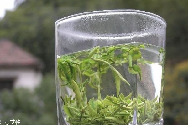 径山茶的品质特点(径山茶是好茶吗)