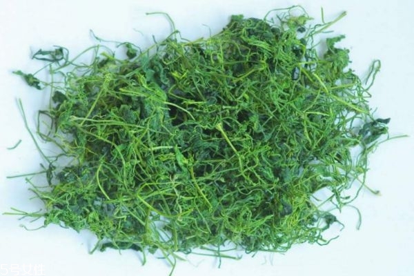 绞股蓝泡水喝的禁忌有什么(绞股蓝泡水喝的功效和禁忌)