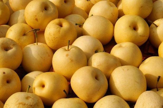 气垫的由来(气垫的由来) 气垫的由来(气垫的由来)