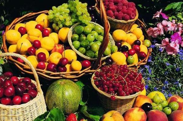 马黛茶有哪些功效(马黛茶有什么功效)