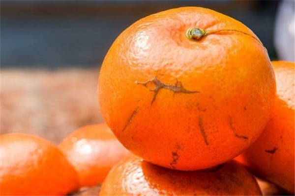 沃柑常见吃法(沃柑的吃法)