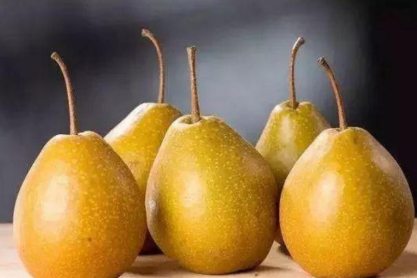梨子可以做成哪些美食(梨子可以做成哪些美食不用打汁杯)