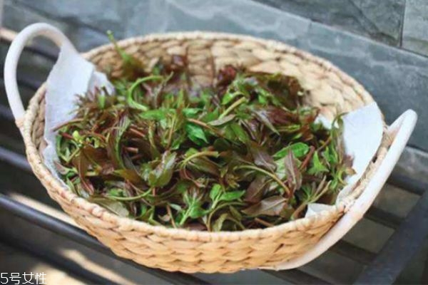 香椿的健康做法(香椿的做法大全家常)