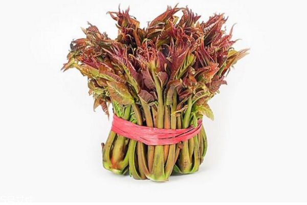 香椿为什么那么贵(香椿为什么那么贵)