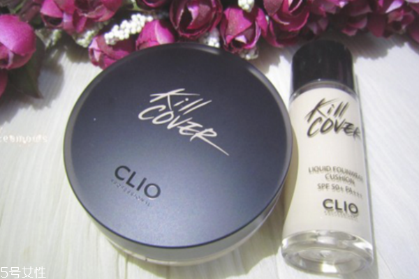 珂莱欧气垫适合什么肤质(珂莱欧气垫怎么样)