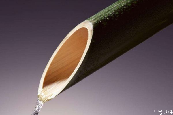 竹子的生长环境是怎么样的呢(竹子生长在什么环境)