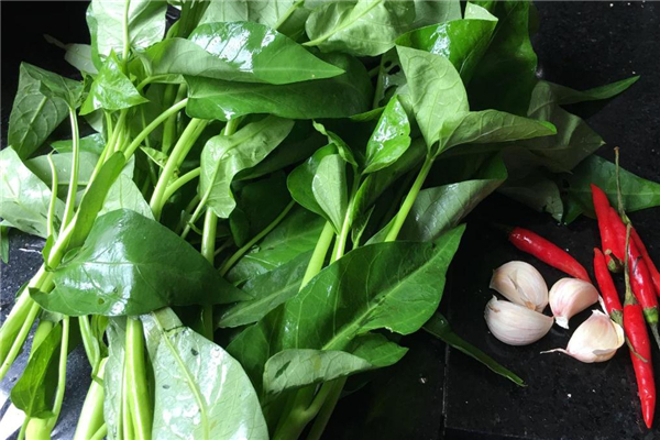 空心菜常见做法(空心菜的做法)