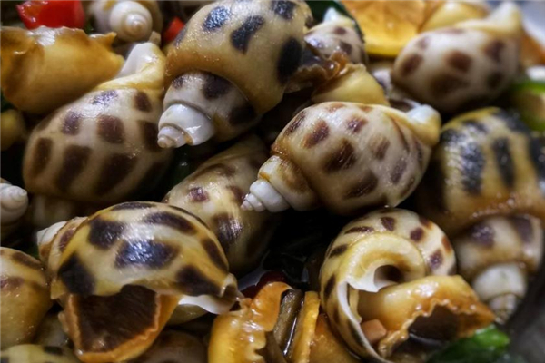 养殖清香木有什么注意的呢(清香木养殖注意方法)