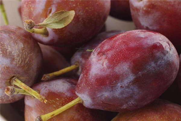 西梅不能和什么一起吃(西梅不能和什么一起吃/同吃)