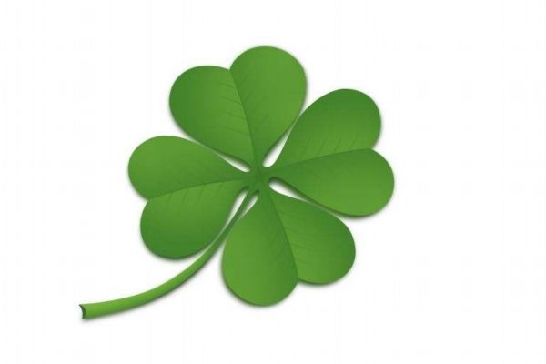 四叶草的生长环境是怎么样的呢(四叶草生长在什么环境) 四叶草的生长环境是怎么样的呢(四叶草生长在什么环境)