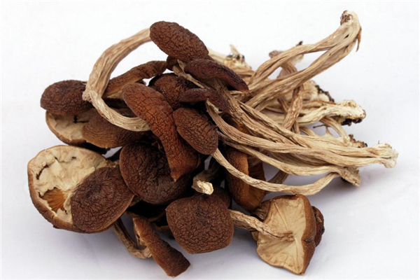 茶树菇怎么做好吃(茶树菇怎么做好吃又简单)