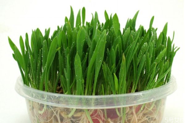 高光粉示意图(高光粉图片) 高光粉示意图(高光粉图片)