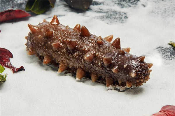 海参怎么挑选(海参怎么挑选干海参)