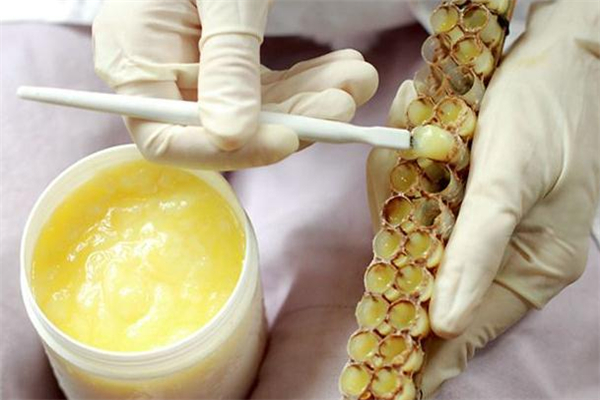 蜂王浆对女人的好处(女人吃蜂王浆有什么好处) 蜂王浆对女人的好处(女人吃蜂王浆有什么好处)