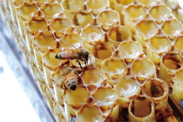 蜂王浆有哪些好处(蜂王浆有哪些好处)