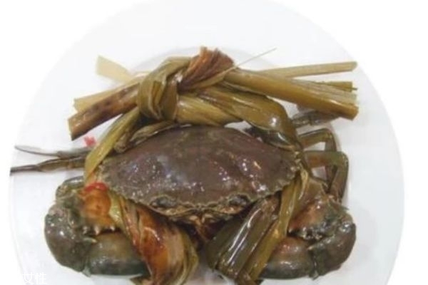 彩叶草的种类有什么呢(彩叶草的科属)