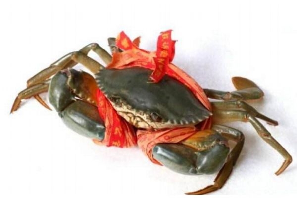 青蟹里面黑的是什么东西(螃蟹里黑的是什么)