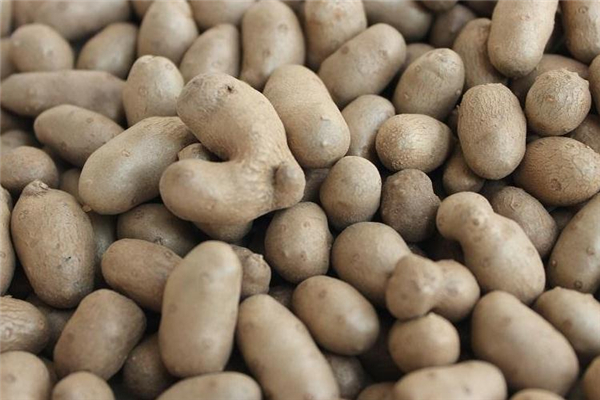 山药豆的功效(山药豆的功效和作用)