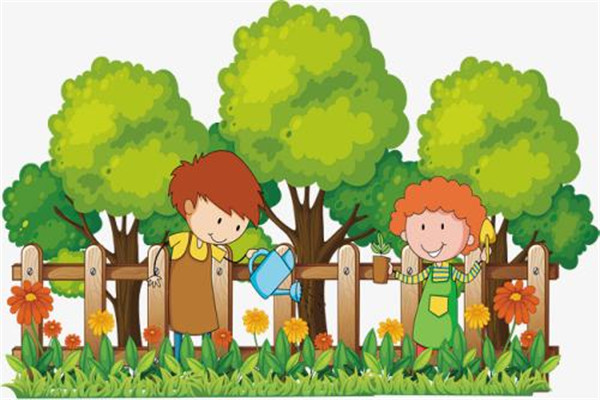 啤酒浇花适合哪些植物(啤酒浇花适合哪些植物啤酒应该怎样发酵)