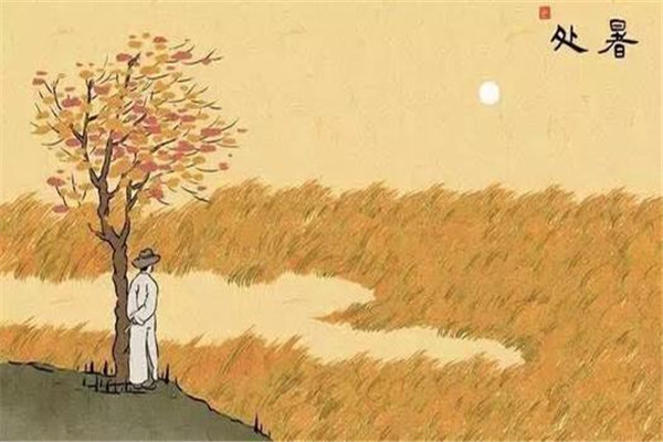 处暑需要早起早睡(处暑意味着什么)