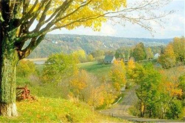 立秋注意什么(立秋注意什么)