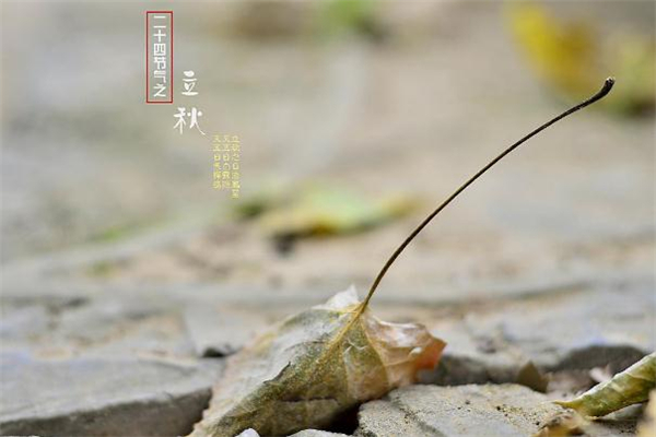 立秋一定会下雨吗(立秋一定会下雨吗) 立秋一定会下雨吗(立秋一定会下雨吗)