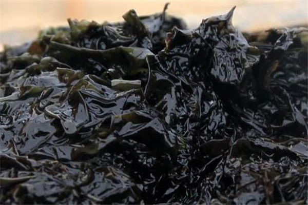 月季花的花期是什么呢(月季花花期是什么时候) 月季花的花期是什么呢(月季花花期是什么时候)