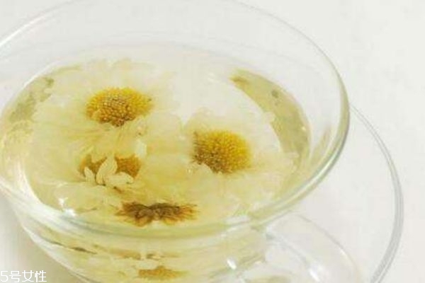 如何制作菊花茶呢(怎样制作菊花茶?谢谢!)