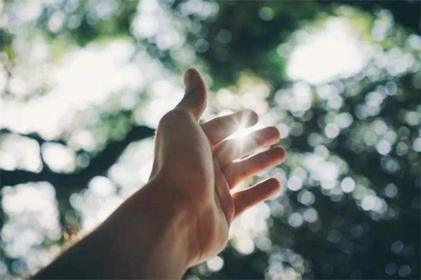 2019中伏是几月几号(中伏是几月几日)