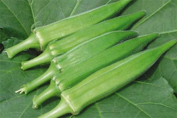 黄秋葵的营养价值(黄秋葵的营养价值及功效)