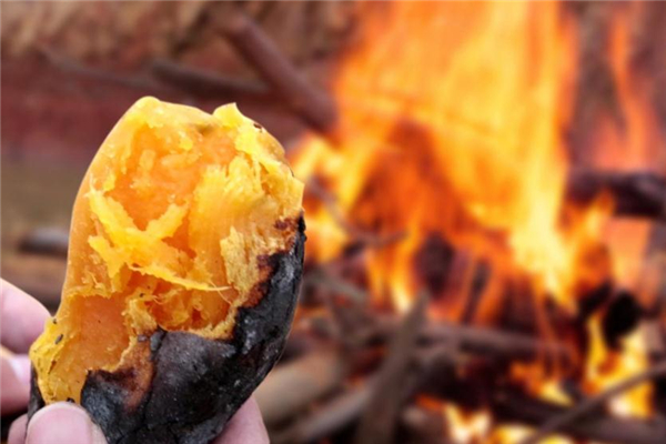 烤红薯一天吃多少(烤红薯一天吃多少减肥) 烤红薯一天吃多少(烤红薯一天吃多少减肥)