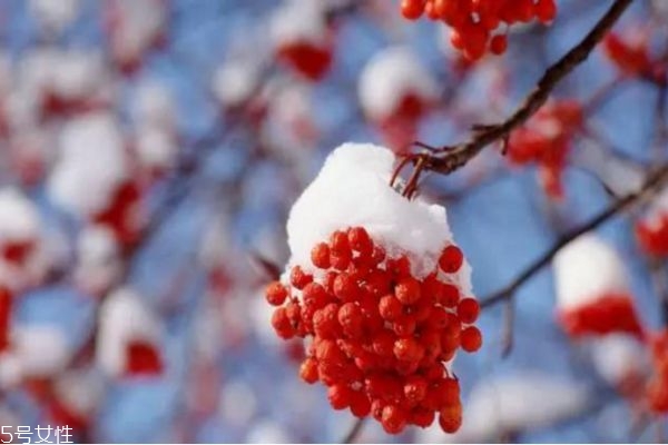 冬季养生保健小常识(冬季养生知识大全)