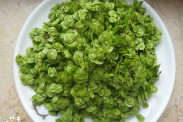 榆钱怎么保存时间长(榆钱怎么保存时间长) 榆钱怎么保存时间长(榆钱怎么保存时间长)