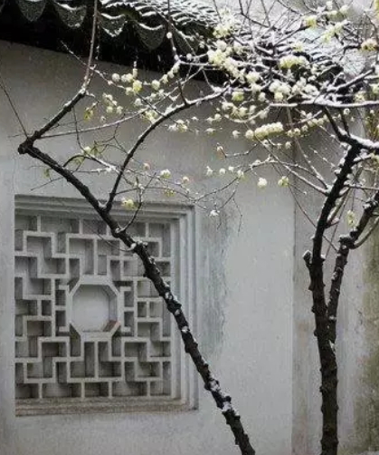 大寒吃什么好(今日大寒吃什么好)