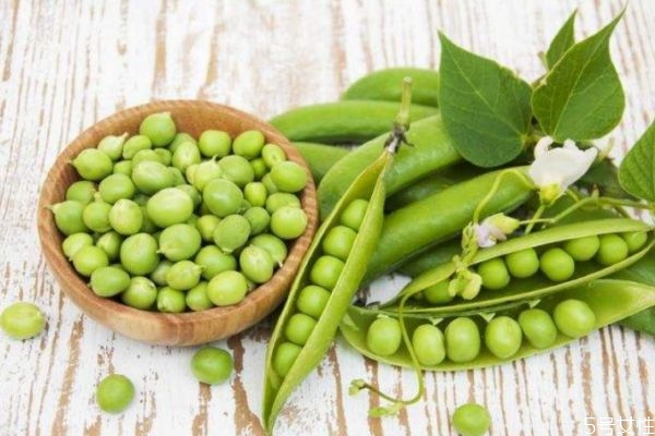 豌豆怎么分辨好坏(怎么看豌豆有没有坏)