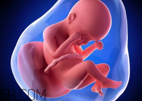 如何检查是否怀孕(如何检查自己是否怀孕)