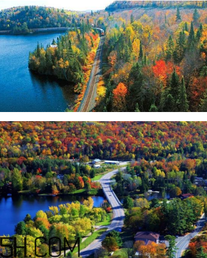 枫叶美景推荐(枫叶的美景) 枫叶美景推荐(枫叶的美景)