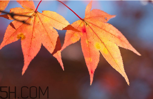 秋天是几月到几月(冬天是几月到几月)