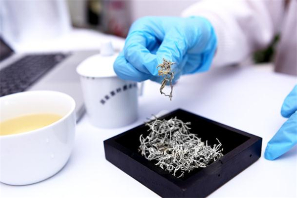 莓茶有哪些功效(莓茶有什么功效和作用)